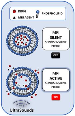 Sonosensitive MRI Nanosystems as Cancer Theranostics: A Recent Update